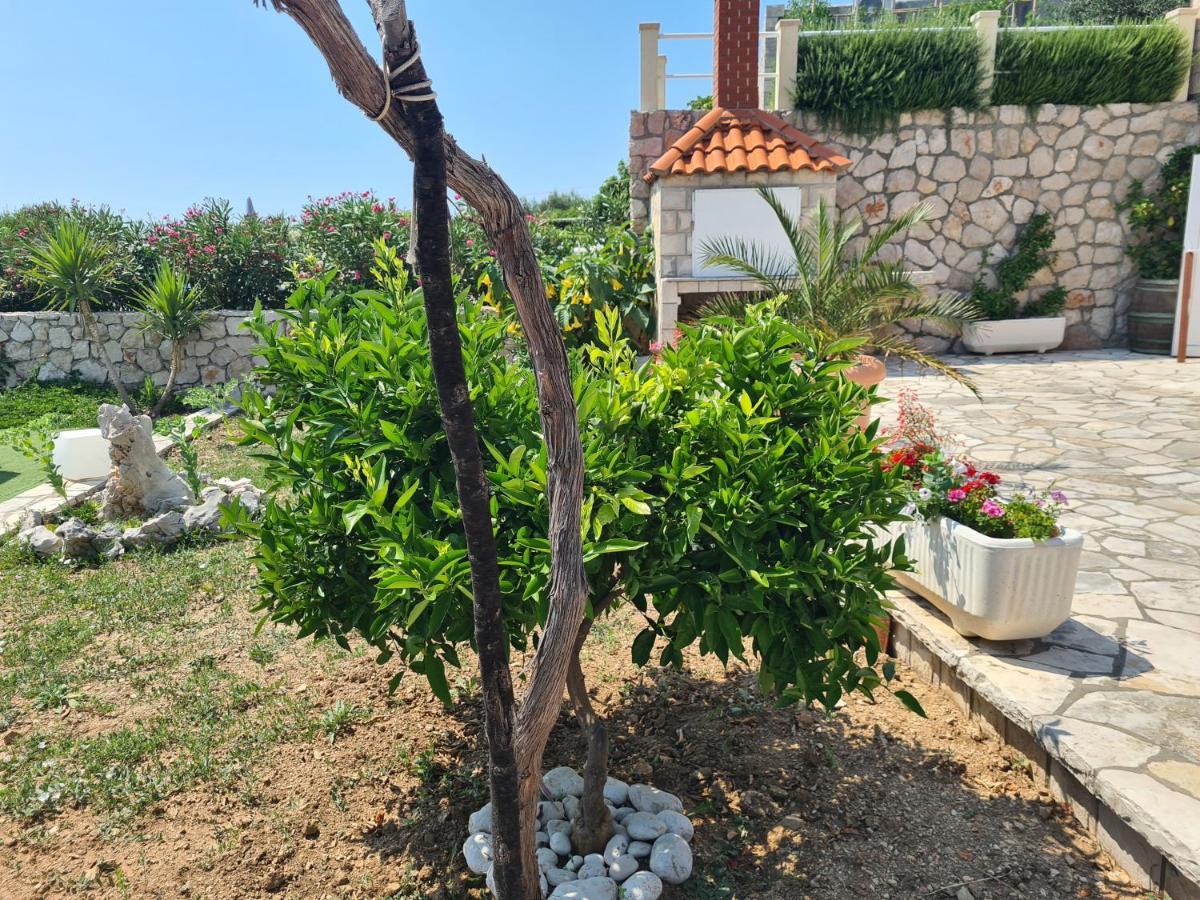 Villa Sea Oasis Ratac Slano Εξωτερικό φωτογραφία